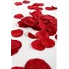 300 Deep Red Silk Rose Petals - Great For Valentines