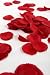 300 Deep Red Silk Rose Petals - Great For Valentines