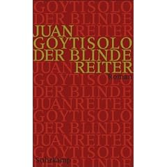 Der blinde Reiter: Roman
