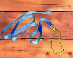 Hamilton Deluxe 7' x 1" Nylon Lead Shank with 24" Chain, Berry