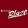 Harlequin Blaze, 12-Month Subscription
