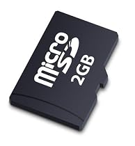 Bytestor 2GB Micro SD Card