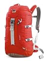 Salewa Rucksack SUMMIT 20 AIR BP