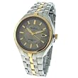 Armitron Men's Gold-Tone and Silver-Tone Round Silver Dial Sports/Dress Watch