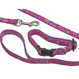 Hi-Craft Paparazzi Essence Dog Collar - Large - 45-60cms