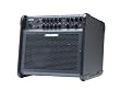Fishman Loudbox 100