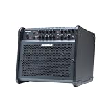Fishman Loudbox 100