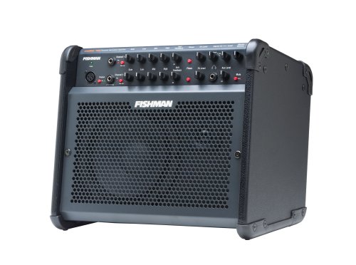 Fishman Loudbox 100