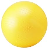 トータルフィットネス(TotalFitness) フィットネスボール STT068 55cm