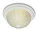 Trans Globe Lighting 14010 AW Indoor Newbury 10" Flushmount, White