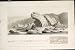 Curved Gneiss Trap Viens Stratheden Dura-Den Old Print