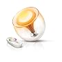 Philips 818566 LivingColors Translucent Changing LED Lamp with Remote