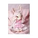 DollZone Bunny 16 cm limited White skintone no face up Plus Outfit set