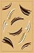 Home Dynamix Zone 847-502 Ebony 7-Feet 8-Inch by 10-Feet 7-Inch Contemporary Area Rug