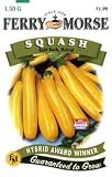 Ferry-Morse Seeds 1375 Squash - Gold Rush Hybrid 1.5 Gram Packet