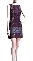 Above the Knee Spring Sleeveless Embroidered Mini Dress 