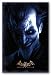 Arkham Asylum Batman Joker Video Game Poster 22x34