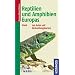 Reptilien und Amphibien Europas: 190 Arten mit Verbreitungskarten