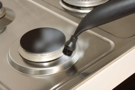 Great buy for  Polti Vtto Flash