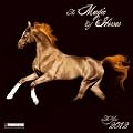 The Magic of Horses 2012: Wonderful World