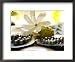 Black Pearl Farming at Hinano Pearl Farm, Fakarava, Tuamotus, French Polynesia Framed Art Poster Print by Michele Westmorland, 22x18