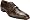 Brown Crocodile