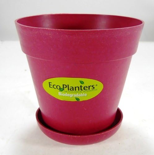 4" Biodegradable House Plant Pot W/saucer in Fusia
