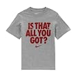 Nike Boys 2T-4T Grey All You Got Tee Shirt