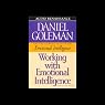 Working with Emotional Intelligence