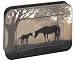 Mare and Foal Note Cards In a Tin Tree-Free