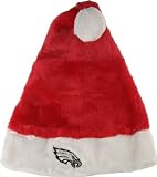 Philadelphia Eagles Santa Hat
