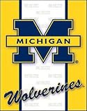 COLLEGE LOGO Tin Sign University MICHIGAN Wolverines