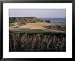 Oxwich Bay, Gower Peninsula, West Glamorgan, Wales, United Kingdom Framed Art Poster Print by Julia Bayne, 31x25