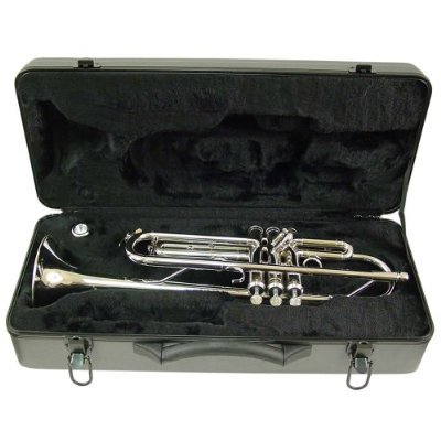 Childrens Toyshop  Musical Instruments : Signature Music 2110N Bb Nickel Trumpet with Case