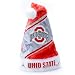 OSU Ohio State University Buckeyes Santa Hat