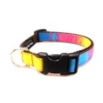 Small Rainbow - Nylon Webbing Dog Collar