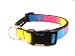Small Rainbow - Nylon Webbing Dog Collar: 5/8" wide, Adjusts 10-14".,-1
