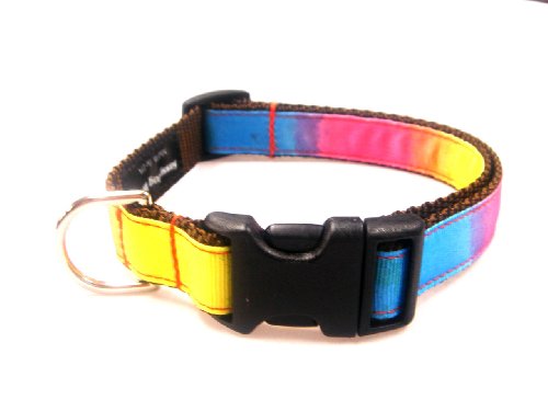 Medium Rainbow Dog Collar: 3/4