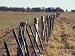 Falling Down Farm Fence During Drought Eludes to Hardship, Australia Photographic Pos...