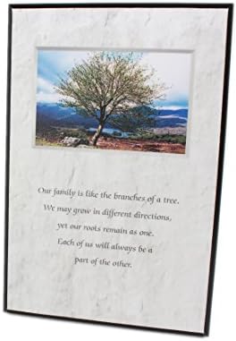 Irish Family Blessing Tree of Life Framed Art 6 x 9