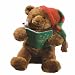 Storytime Bear 16.5" by Gund 88754