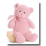 My First Teddy Bear Pink