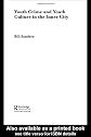 Youth Crime and Youth Culture in the Inner City (Routledge Advances in Sociology)