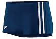 Speedo Stripe Square Leg Male