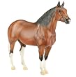 Breyer Pokerjoe Model & DVD Set