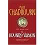 The Hounds of Avalon: The Dark Age 3 (Gollancz S.F.)