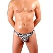 Mens New Hot Zebra Print Thong Swimsuit Gary Majdell Sport