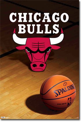 Chicago Bulls Logo NBA 22