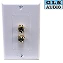 GLS Audio 2 Post Binding Banana Plug Wall Plate White (2 Posts for 1 Speaker)