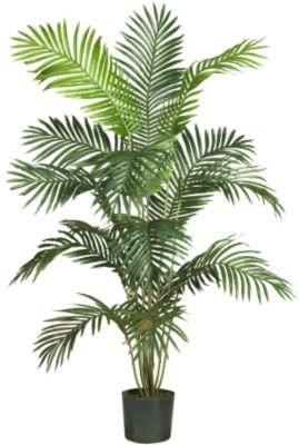 6' Paradise Palm Silk Tree